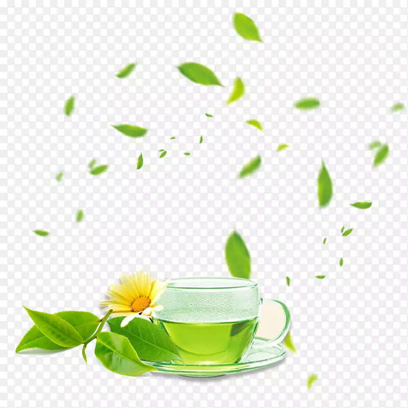 绿茶咖啡杯草药静物摄影-新茶叶市场