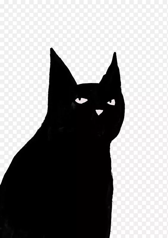 孟买猫黑猫家养短毛猫须-黑猫