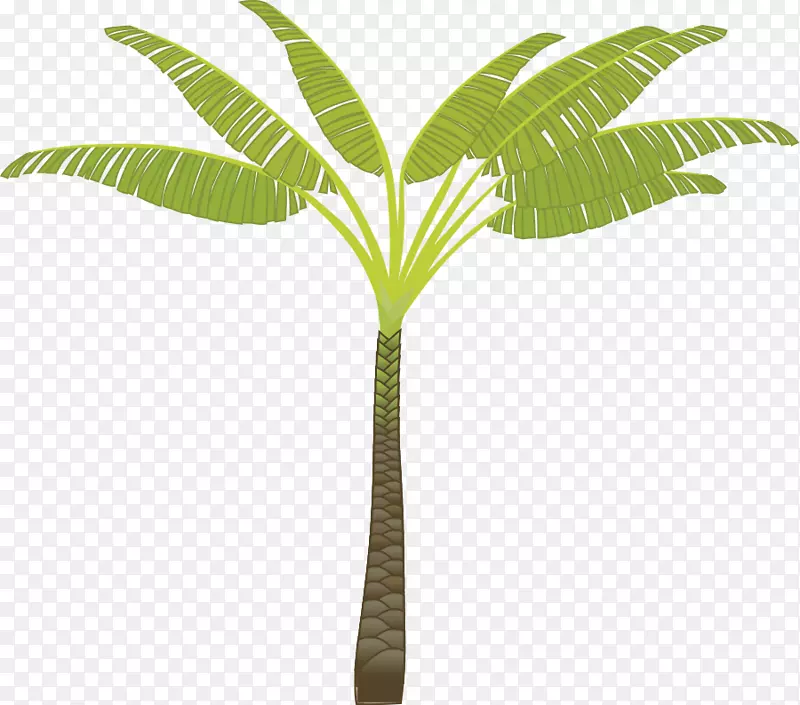 槟榔科树椰子剪贴画无艺术载体树