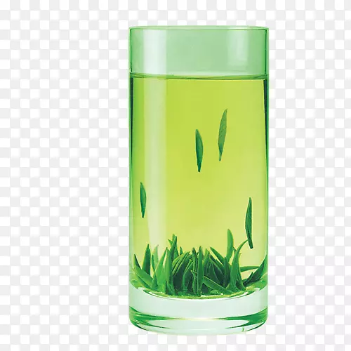 绿茶袋玻璃茶具