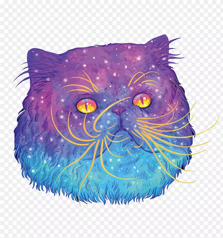 猫科插画艺术插图-星空头