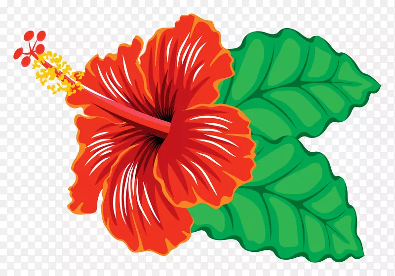 夏威夷木槿剪贴画-木槿架