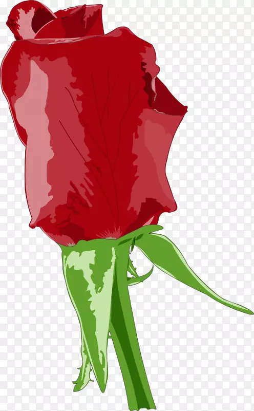 玫瑰cdr可伸缩图形剪辑艺术玫瑰剪贴画