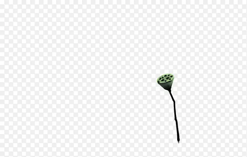 叶、植物茎、枝、花近景-荷花创意