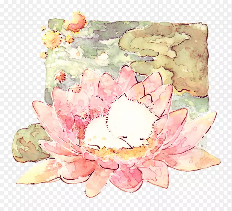 猫画-可爱的小猫睡在莲花上