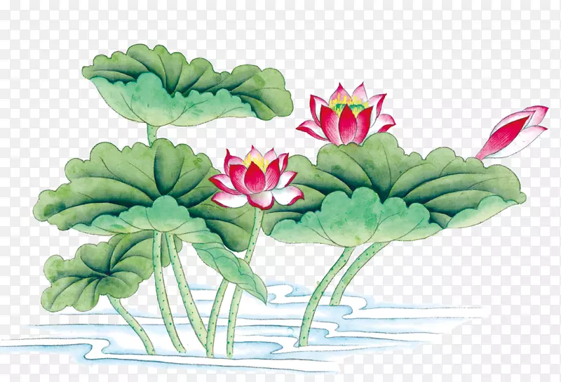 花鸟画画宫壁水墨画手绘莲花