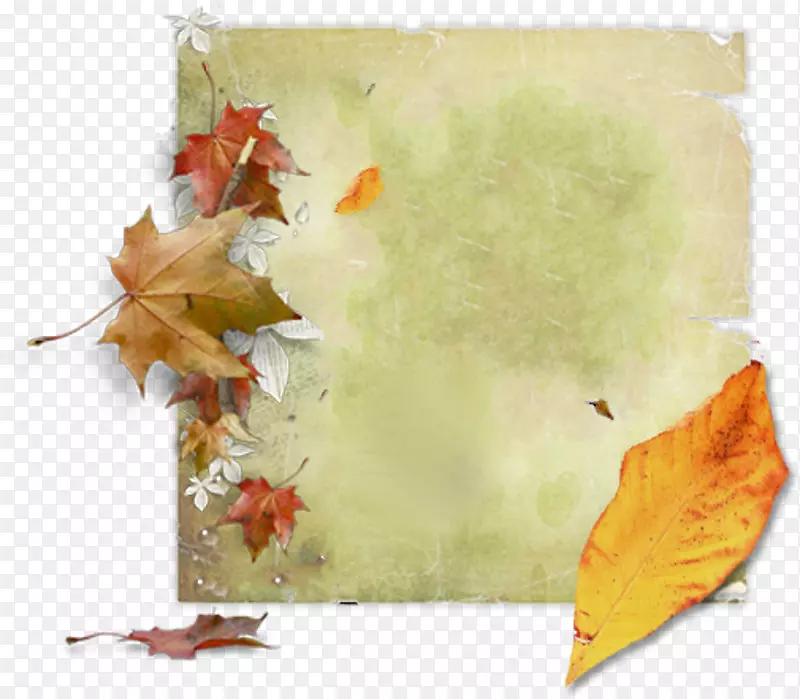秋季枫叶剪贴画-图书标签