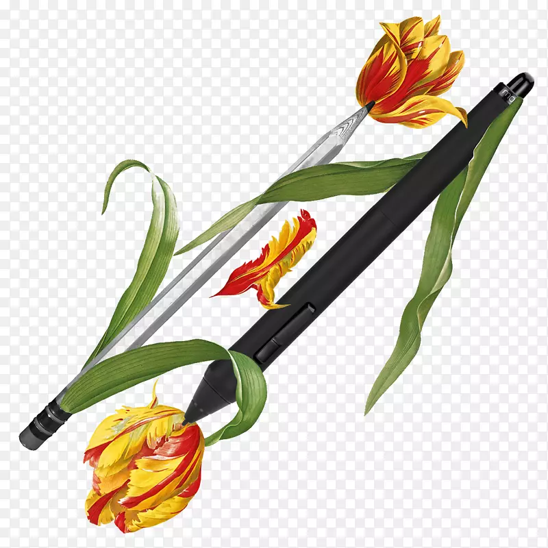 花卉拼贴艺术铅笔手绘花笔