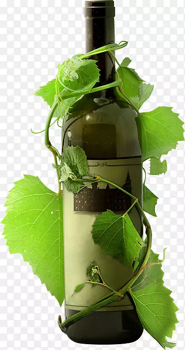红葡萄酒朗达拉海报-绿树藤蔓裹在瓶子上
