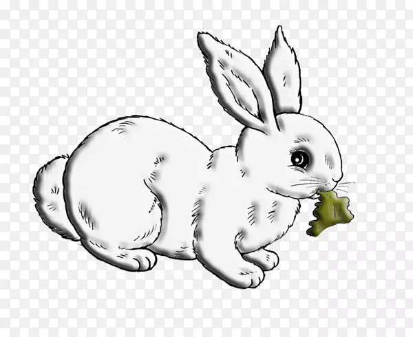 国内兔白兔欧洲兔卡通白兔食品