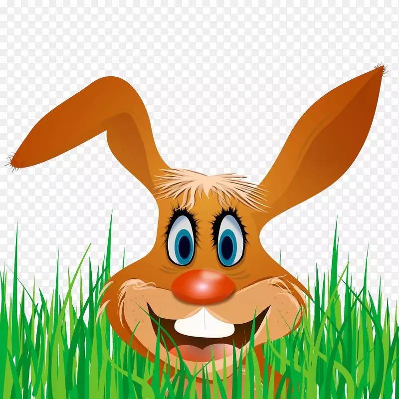 复活节兔子纸明信片插图-一只蹲在野草里的兔子
