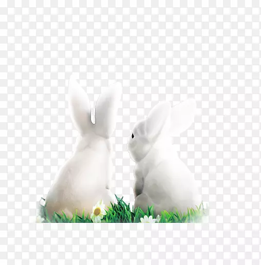 国内兔子复活节兔白兔-白兔装饰图案