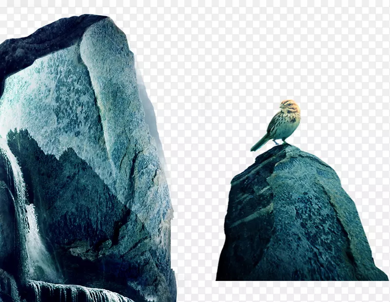 欧亚喜鹊-蓝绿色石鸟材料
