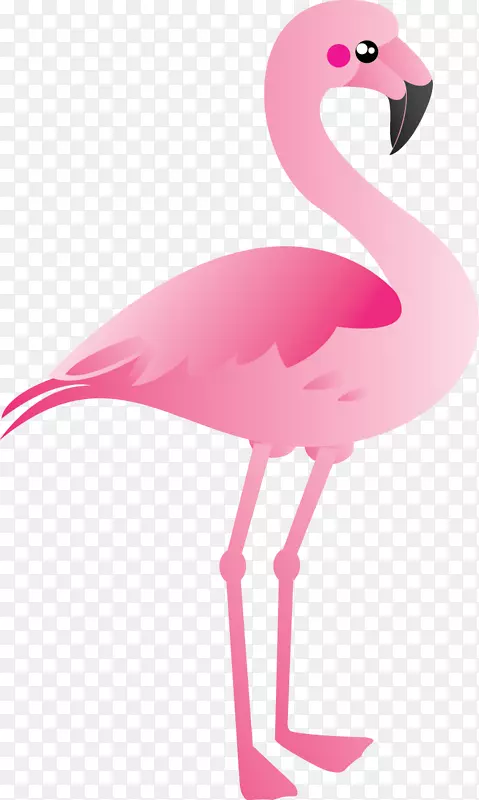 塑料火烈鸟剪贴画-粉红色琵鹭剪贴画