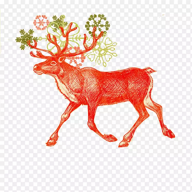 圣诞老人驯鹿圣诞卡-可爱的手绘卡通鹿