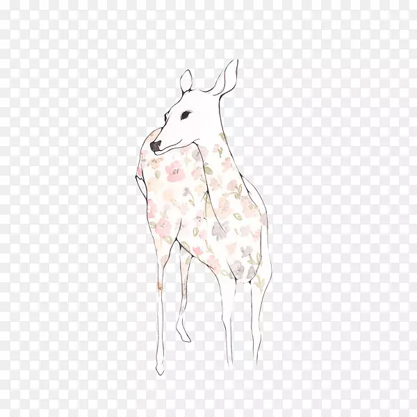 长颈鹿驯鹿野兔动物手绘鹿