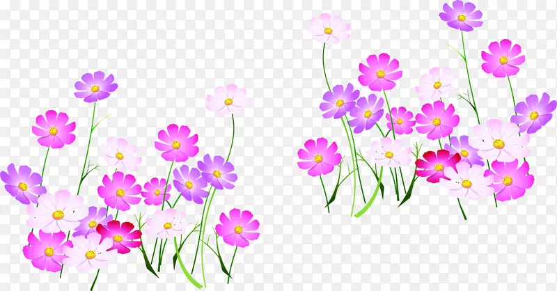 花卉设计插画-粉红花秋海