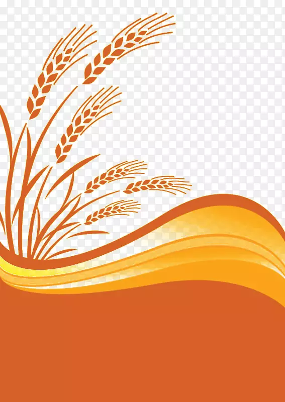小麦谷类作物穗夹艺术.橙色梯度小麦元素