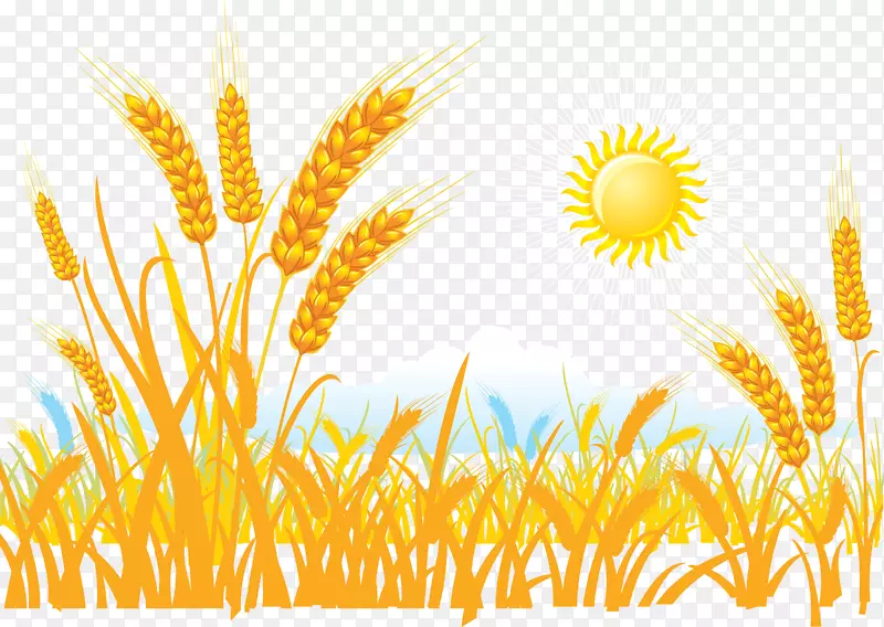 小麦贴纸夹艺术-收割小麦的粮食