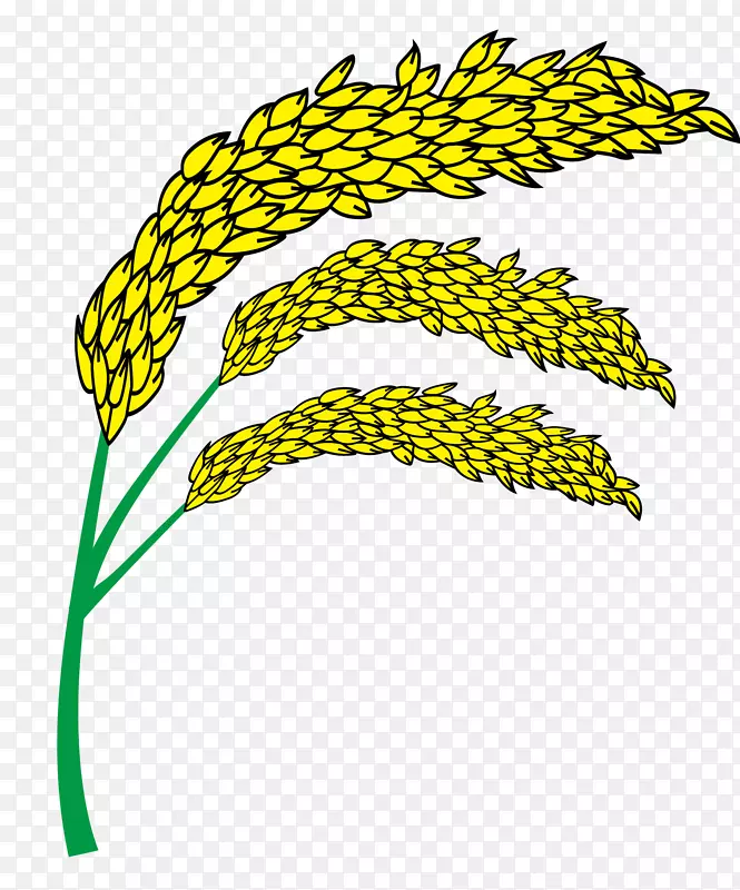 欧式黄色小麦