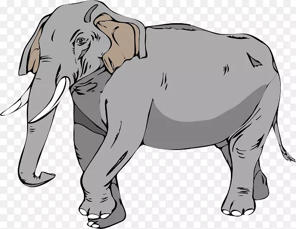 亚洲象牙剪贴画.象图像黑白