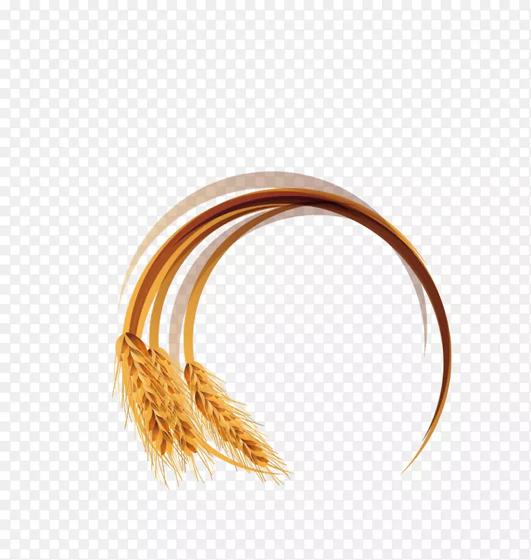 EAR小麦计算机图标.创造性小麦