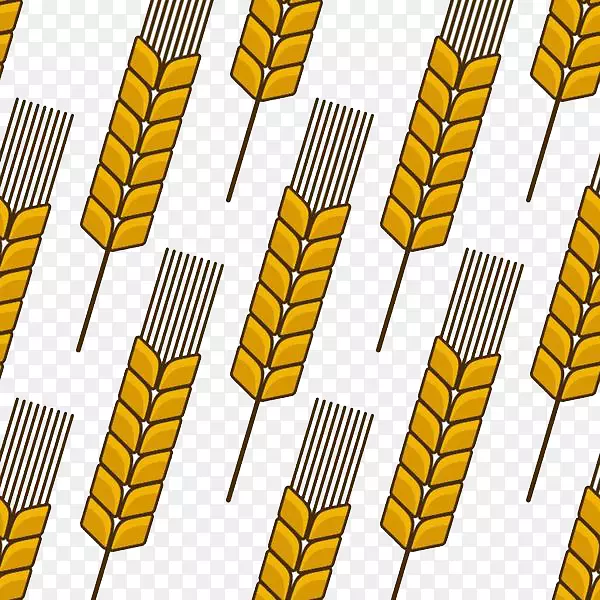 小麦穗谷农业-分散小麦