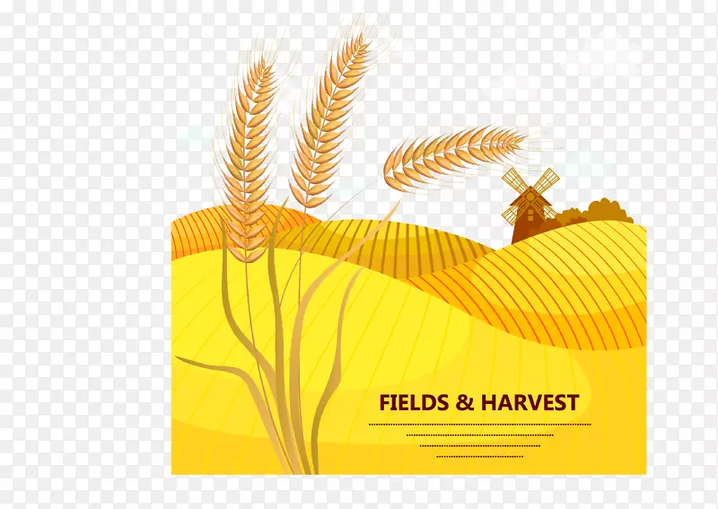 卡利亚里小麦大棚草作物播种-植物性小麦作物