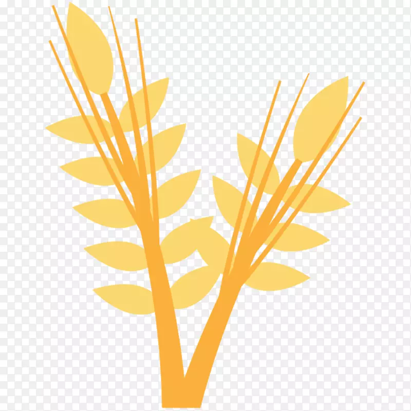 插画-艺术小麦