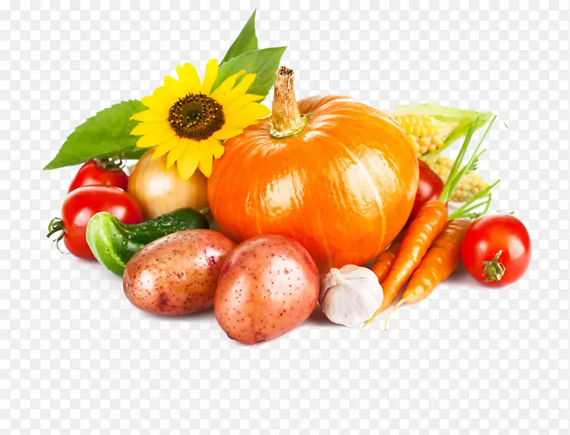 果汁、冬瓜、蔬菜、水果产量-蔬菜大杂烩