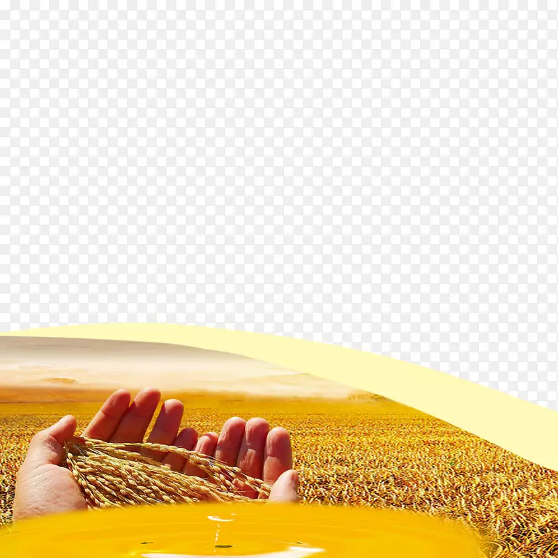 小麦谷下载-黄金小麦