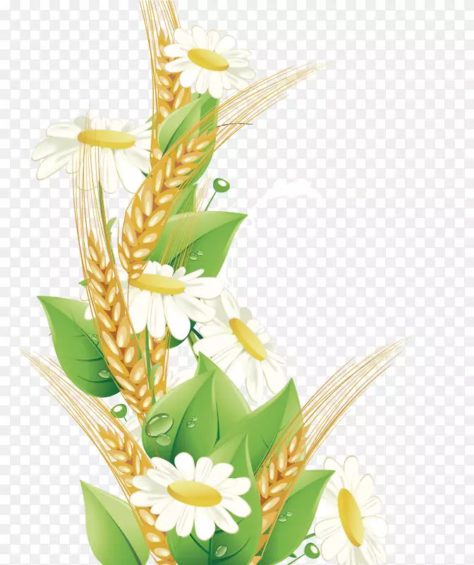 花画线艺术-小麦边框