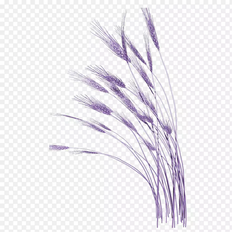 电脑图标剪贴画-蓝色小麦