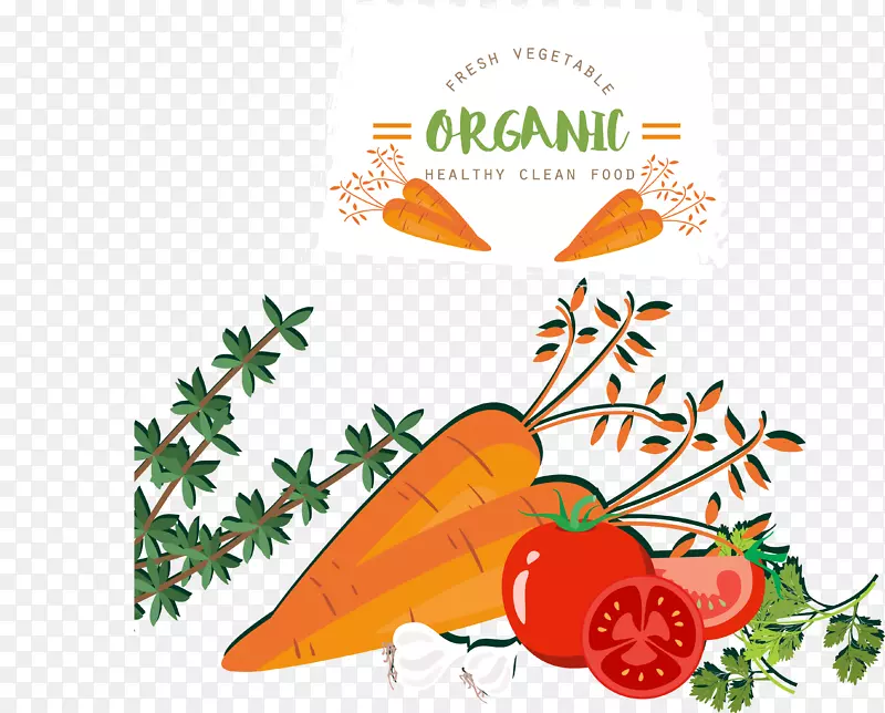 水果蔬菜食品番茄胡萝卜蔬菜食品