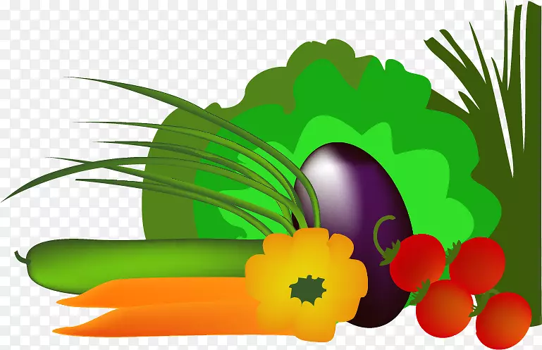 营养食品金字塔营养饮食-卡通，蔬菜