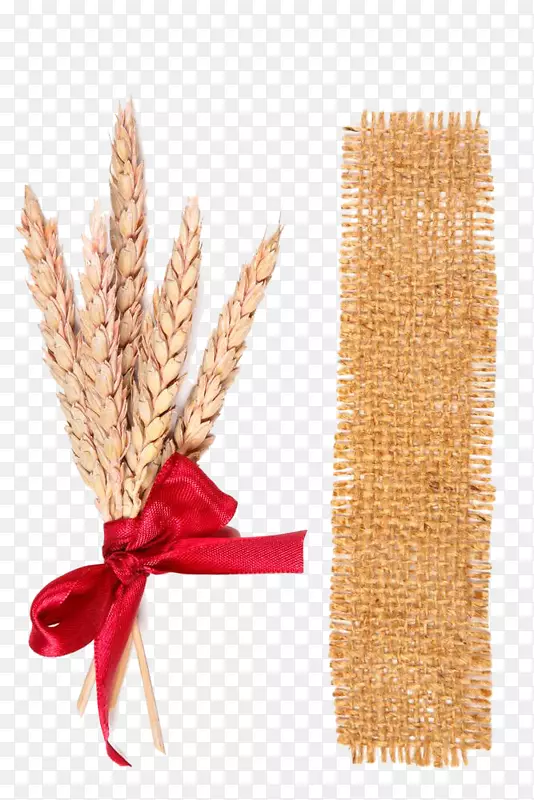 小麦摄影耳袋，布和小麦