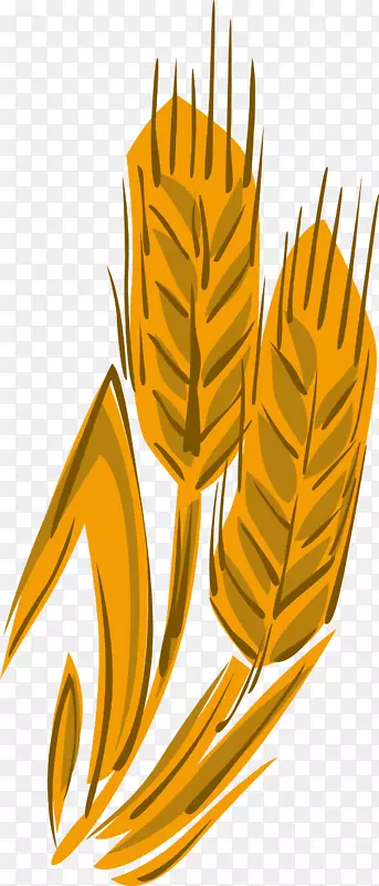 小麦剪贴画小麦