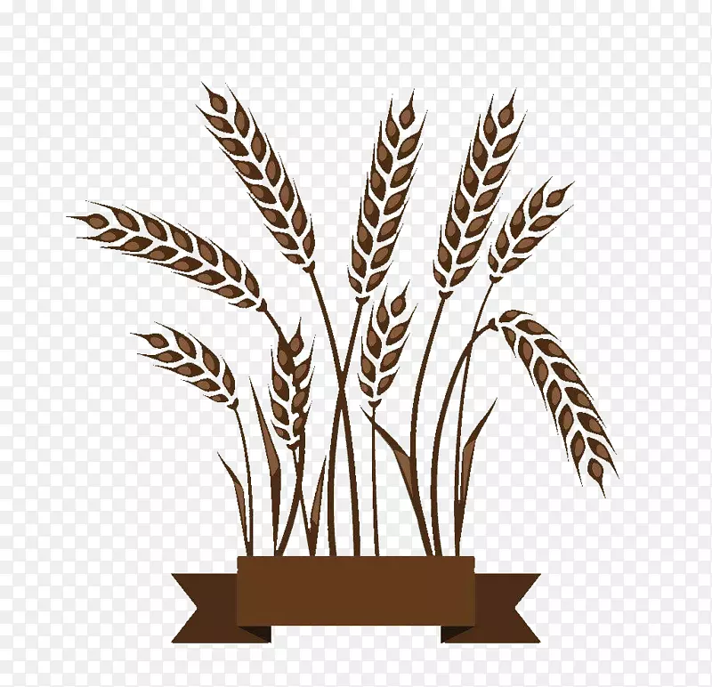 小麦胚芽-棕色小麦