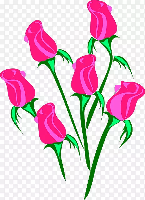 玫瑰花粉红剪贴画-花卉卡通