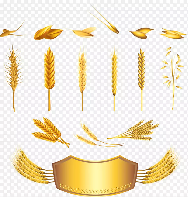 小麦谷物耳图.金属和小麦