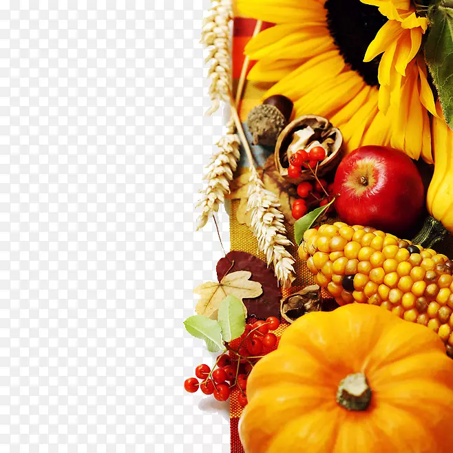 感恩的祝福，感恩的心，所有善良的根，都在欣赏善良的土壤里。-水果和蔬菜