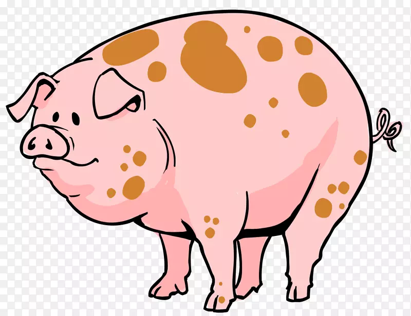 家猪耳卡通剪辑艺术-卡通猪形象