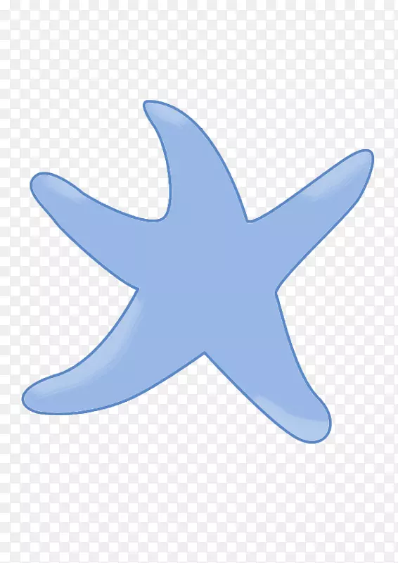 海星棘皮动物海洋生物字体蓝色五角星