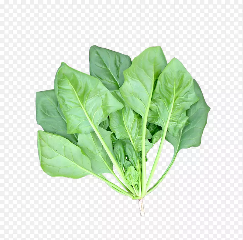 菠菜叶类蔬菜食品绿色蔬菜