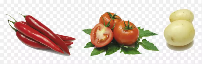 蔬菜番茄奥格里斯配料食品绿色蔬菜