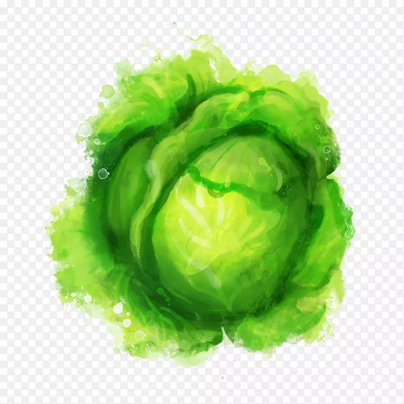 水彩画绿色墨棒插图.绿色蔬菜