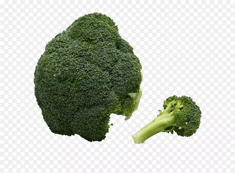 西兰花蔬菜免疫系统-绿色蔬菜