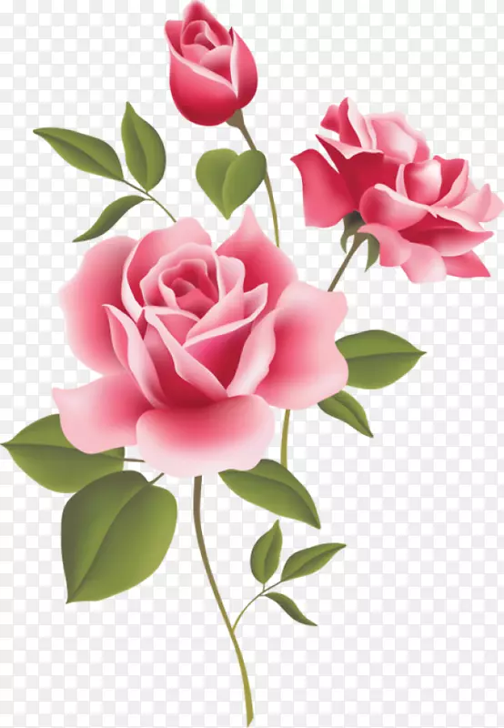 玫瑰粉色免费内容剪贴画-玫瑰角剪贴画