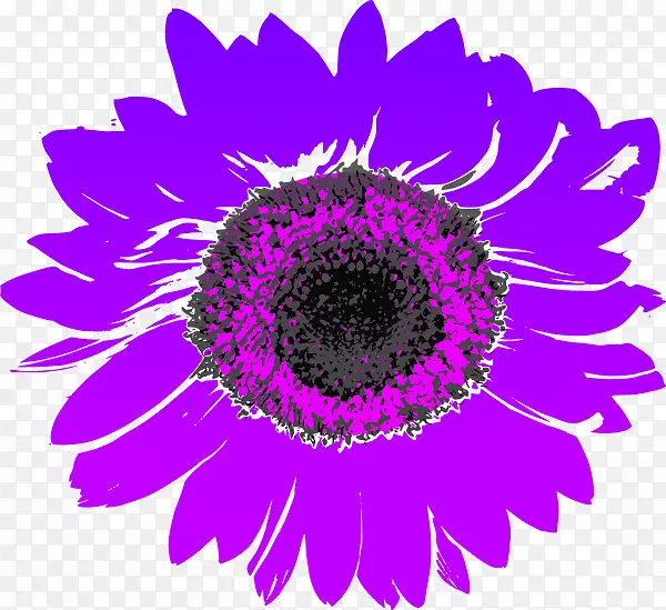 普通向日葵电脑图标剪贴画紫色向日葵剪贴画