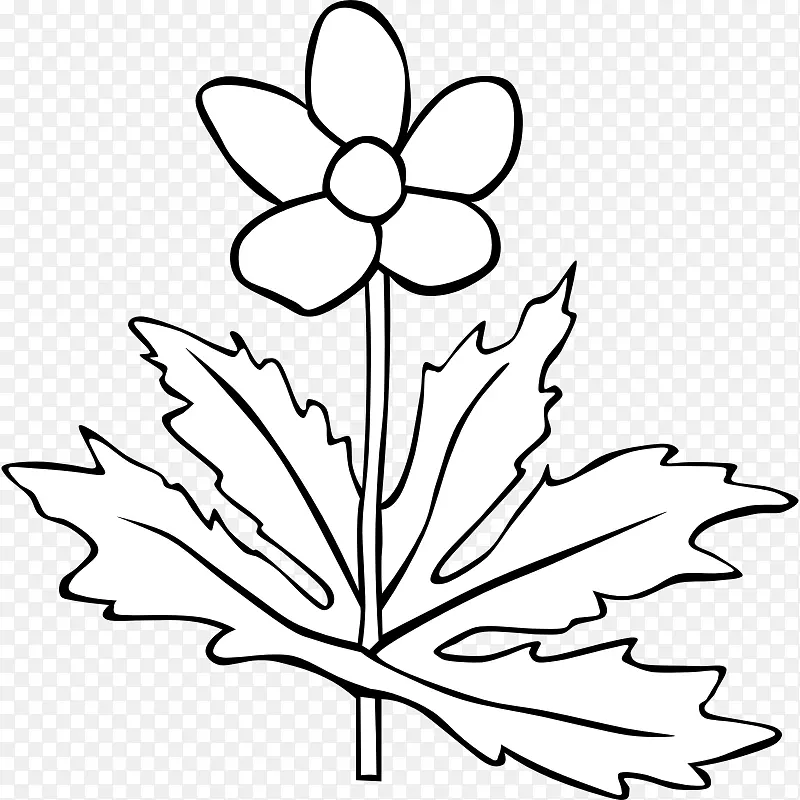 植物白花剪贴画-黑白植物